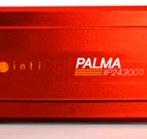 INVERSOR-INTI-PALMA-24V-3000W
